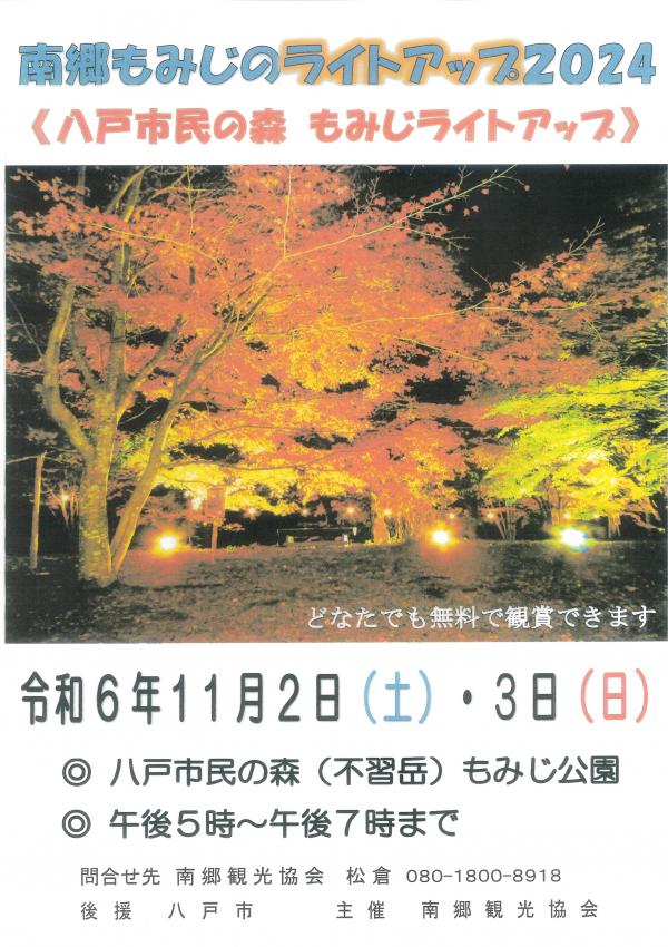 不習岳もみじのライトアップ.jpg