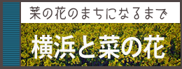 横浜となのはな