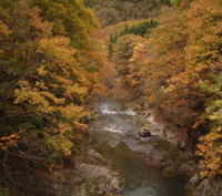2002_1025_135824AA1.jpg