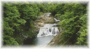 kawautikeikoku3.jpg
