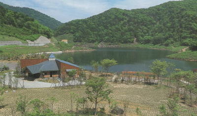 kawautiko11.jpg