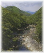 keikoku1.jpg