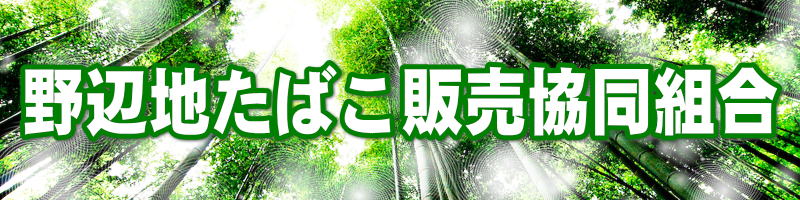 banner1.jpg